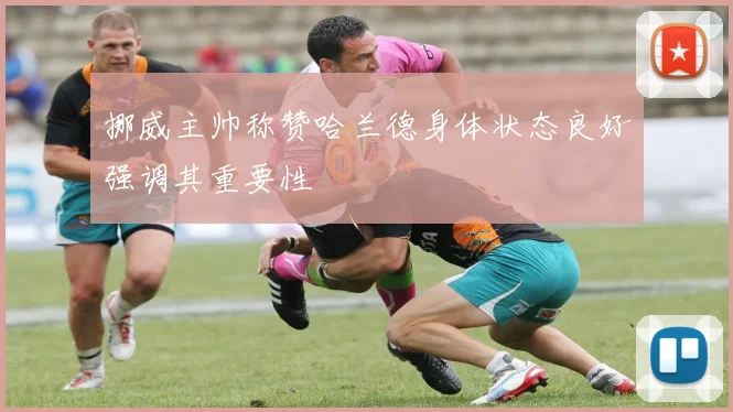 挪威主帅称赞哈兰德身体状态良好强调其重要性