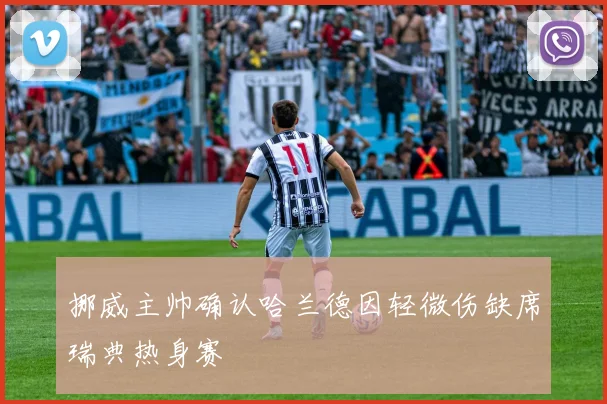 挪威主帅确认哈兰德因轻微伤缺席瑞典热身赛